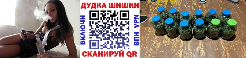 Бошки Шишки SATIVA & INDICA  darknet как зайти  Ужур  KRAKEN ТОР 